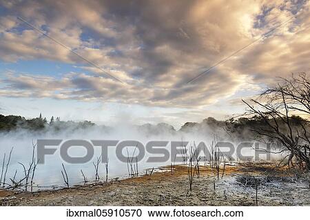 Stock Image - Kuirau Park, Geothermal Energy, Rotorua, Bay of Plenty, North Island, New Zealand, Oceania. Fotosearch