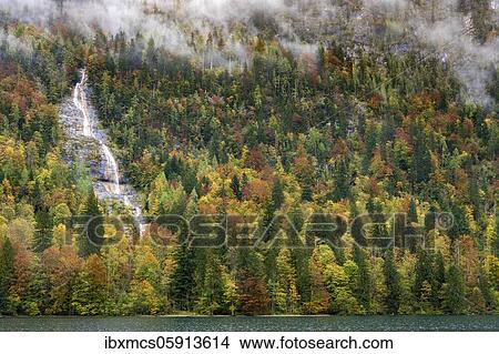 Königsbach waterfall in Herbstl, Königssee, Berchtesgaden National Park, Berchtesgadener Land, Bavaria, Germany, Europe View Large Photo Image Picture - Königsbach waterfall in Herbstl, Königssee, Berchtesgaden National Park, Berchtesgadener Land, Bavaria, Germany, Europe. Fotosearch
