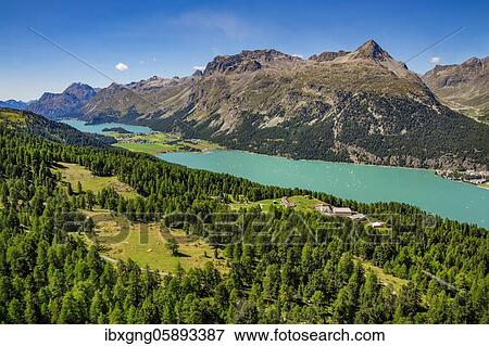 Lake Silvaplana and Silser See, Silvaplana, Inn Valley, Bernina Alps, Upper Engadine, Engadine, Grisons, Switzerland, Europe View Large Photo Image Stock Photo - Lake Silvaplana and Silser See, Silvaplana, Inn Valley, Bernina Alps, Upper Engadine, Engadine, Grisons, Switzerland, Europe. Fotosearch