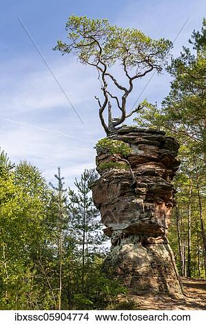 Lamb rock in the Dahner Felsland, Palatinate Forest, Rhineland-Palatinate, Germany, Europe View Large Photo Image Picture - Lamb rock in the Dahner Felsland, Palatinate Forest, Rhineland-Palatinate, Germany, Europe. Fotosearch