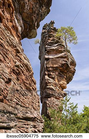 Lamb rock in the Dahner Felsland, Palatinate Forest, Rhineland-Palatinate, Germany, Europe View Large Photo Image Stock Photography - Lamb rock in the Dahner Felsland, Palatinate Forest, Rhineland-Palatinate, Germany, Europe. Fotosearch