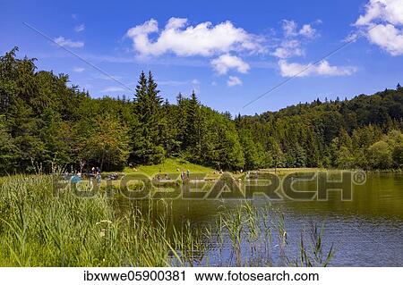 Stock Image - Laudachsee on the Grünberg, Gmunden, Salzkammergut, Upper Austria, Austria, Europe. Fotosearch