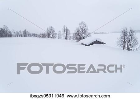 Stock Photograph - Lonely wooden house in wide landscape in snow in winter with bare trees, Muonio, Lapland, Finland, Europe. Fotosearch
