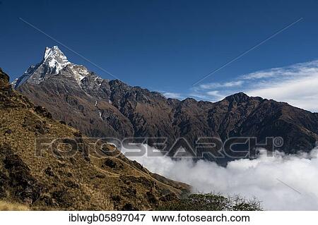 Stock Photo - Machapuchare, Himalaya, fish tail, 6997m, holy mountain, Mardi Himal, Annapurna region, Nepal, Asia. Fotosearch