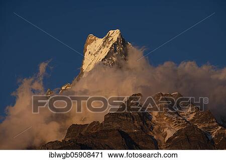 Stock Image - Machapuchare in the evening light, Himalaya, fish tail, 6997m, holy mountain, Mardi Himal, Annapurna region, Nepal, Asia. Fotosearch