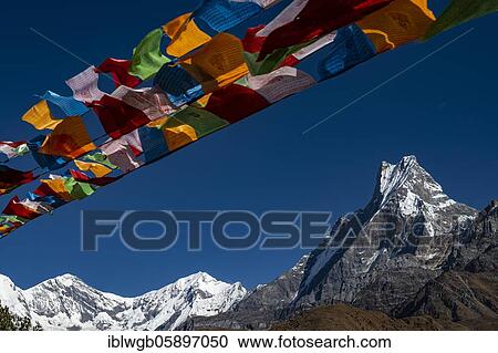 Stock Image - Machapuchare with Buddhist prayer flags, Himalaya, fish tail, 6997m, holy mountain, Mardi Himal, Annapurna region, Nepal, Asia. Fotosearch