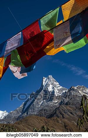 Stock Photo - Machapuchare with Buddhist prayer flags, Himalaya, fish tail, 6997m, holy mountain, Mardi Himal, Annapurna region, Nepal, Asia. Fotosearch