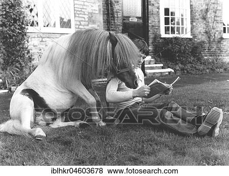 Man and horse reading together, England, Great Britain View Large Photo Image Stock Photo - Man and horse reading together, England, Great Britain. Fotosearch