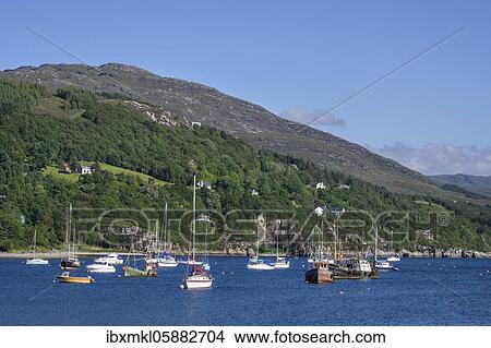 Picture - Marina on the banks of Loch Broom, North West Highlands, Ross and Cromarty, Scotland, United Kingdom, Europe. Fotosearch