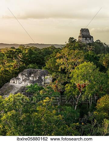 Mayan temple in the rainforest, ancient Mayan city, Tikal National Park, Guatemala, Central America View Large Photo Image Stock Image - Mayan temple in the rainforest, ancient Mayan city, Tikal National Park, Guatemala, Central America. Fotosearch