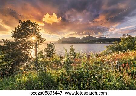 Stock Photo - Midnight sun in midsummer by the fjord, dense vegetation, warm light atmosphere with sun star, Bogøy, Nordland, Norway, Europe. Fotosearch