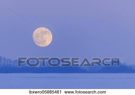 Moonrise over the Dümmer, Oldenburger Münsterland, Dümmerlohhausen, Lower Saxony, Germany, Europe View Large Photo Image Stock Image - Moonrise over the Dümmer, Oldenburger Münsterland, Dümmerlohhausen, Lower Saxony, Germany, Europe. Fotosearch