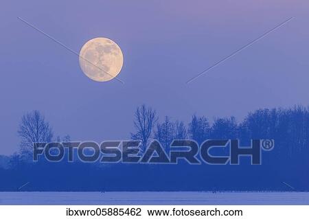Moonrise over the Dümmer, Oldenburger Münsterland, Dümmerlohhausen, Lower Saxony, Germany, Europe View Large Photo Image Stock Image - Moonrise over the Dümmer, Oldenburger Münsterland, Dümmerlohhausen, Lower Saxony, Germany, Europe. Fotosearch