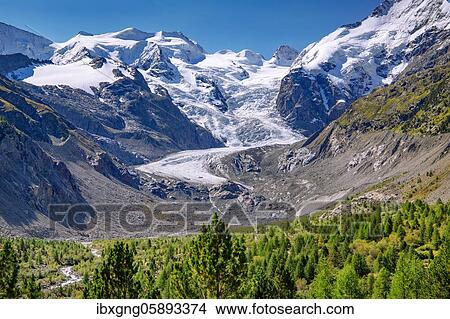 Morteratsch Valley with Bellavista and Morteratsch Glacier, Pontresina, Bernina Alps, Upper Engadine, Engadine, Grisons, Switzerland, Europe View Large Photo Image Picture - Morteratsch Valley with Bellavista and Morteratsch Glacier, Pontresina, Bernina Alps, Upper Engadine, Engadine, Grisons, Switzerland, Europe. Fotosearch