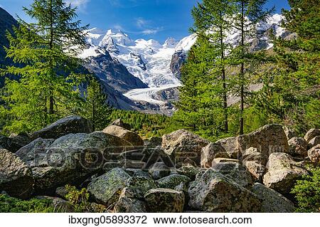 Morteratsch Valley with Bellavista and Morteratsch Glacier, Pontresina, Bernina Alps, Upper Engadine, Engadine, Grisons, Switzerland, Europe View Large Photo Image Stock Image - Morteratsch Valley with Bellavista and Morteratsch Glacier, Pontresina, Bernina Alps, Upper Engadine, Engadine, Grisons, Switzerland, Europe. Fotosearch