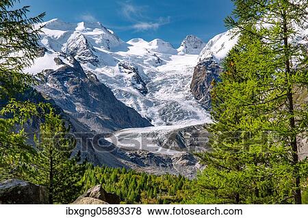 Morteratsch Valley with Bellavista and Morteratsch Glacier, Pontresina, Bernina Alps, Upper Engadine, Engadine, Grisons, Switzerland, Europe View Large Photo Image Stock Photo - Morteratsch Valley with Bellavista and Morteratsch Glacier, Pontresina, Bernina Alps, Upper Engadine, Engadine, Grisons, Switzerland, Europe. Fotosearch