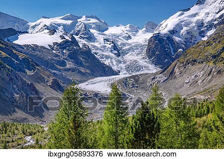 Morteratsch Valley with Bellavista and Morteratsch Glacier, Pontresina, Bernina Alps, Upper Engadine, Engadine, Grisons, Switzerland, Europe View Large Photo Image Stock Photograph - Morteratsch Valley with Bellavista and Morteratsch Glacier, Pontresina, Bernina Alps, Upper Engadine, Engadine, Grisons, Switzerland, Europe. Fotosearch