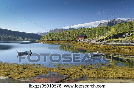 Stock Photograph - Motor boats in calm fjord with yellow sea grass, mountains in the back, Nordland, Norway, Europe. Fotosearch