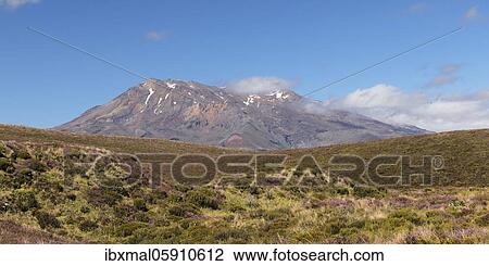 Mount Ngauruhoe, Oceania, Tongariro Alpine Crossing, Tongariro National Park, UNESCO World Heritage Site, North Island, New Zealand, Oceania View Large Photo Image Stock Image - Mount Ngauruhoe, Oceania, Tongariro Alpine Crossing, Tongariro National Park, UNESCO World Heritage Site, North Island, New Zealand, Oceania. Fotosearch