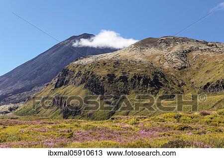 Stock Image - Mount Ngauruhoe, Oceania, Tongariro National Park, UNESCO World Heritage Site, North Island, New Zealand, Oceania. Fotosearch