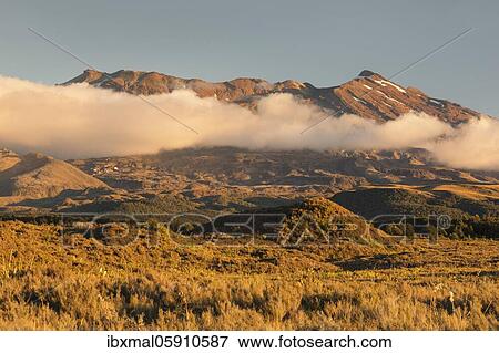 Mount Ruapehu at sunset, Oceania, Tongariro National Park, UNESCO World Heritage, Ruapehu, North Island, New Zealand, Oceania View Large Photo Image Stock Photo - Mount Ruapehu at sunset, Oceania, Tongariro National Park, UNESCO World Heritage, Ruapehu, North Island, New Zealand, Oceania. Fotosearch