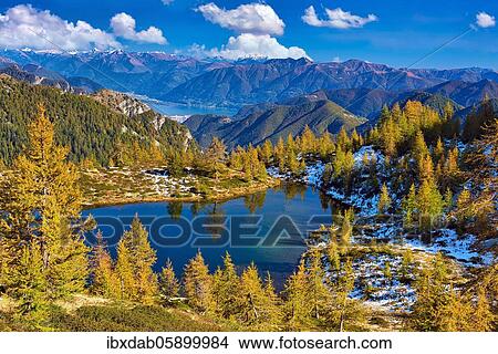 Mountain lake surrounded by autumnal larches, Alpe Salei, Tal Onsernone, Canton Ticino, Switzerland, Europe View Large Photo Image Picture - Mountain lake surrounded by autumnal larches, Alpe Salei, Tal Onsernone, Canton Ticino, Switzerland, Europe. Fotosearch
