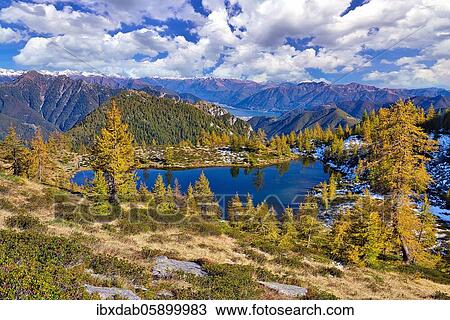 Mountain lake surrounded by autumnal larches, Alpe Salei, Tal Onsernone, Canton Ticino, Switzerland, Europe View Large Photo Image Stock Image - Mountain lake surrounded by autumnal larches, Alpe Salei, Tal Onsernone, Canton Ticino, Switzerland, Europe. Fotosearch