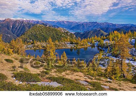 Mountain lake surrounded by autumnal larches, Alpe Salei, Tal Onsernone, Canton Ticino, Switzerland, Europe View Large Photo Image Stock Photograph - Mountain lake surrounded by autumnal larches, Alpe Salei, Tal Onsernone, Canton Ticino, Switzerland, Europe. Fotosearch