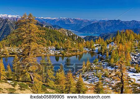 Stock Photography - Mountain lake surrounded by autumnal larches, Alpe Salei, Tal Onsernone, Canton Ticino, Switzerland, Europe. Fotosearch
