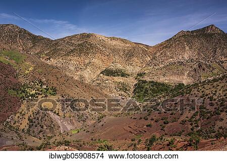 Mountain landscape with sparse vegetation in the High Atlas, Morocco, Africa View Large Photo Image Picture - Mountain landscape with sparse vegetation in the High Atlas, Morocco, Africa. Fotosearch