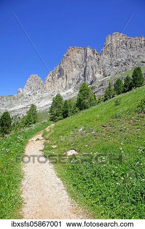 Mountain massif with mountain landscape, hiking trail, rose garden, Dolomites, South Tyrol, Italy, Europe View Large Photo Image Stock Image - Mountain massif with mountain landscape, hiking trail, rose garden, Dolomites, South Tyrol, Italy, Europe. Fotosearch