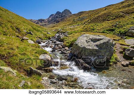 Picture - Mountain stream in the Languard Valley, Val Languard, Pontresina, Bernina Alps, Upper Engadine, Engadine, Grisons, Switzerland, Europe. Fotosearch