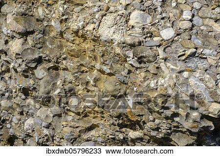Nagelfluh rock, conglomerate, Nagelfluh, at the Mittagberg near Immenstadt, Allgäu, Swabia, Bavaria, Germany, Europe View Large Photo Image Stock Image - Nagelfluh rock, conglomerate, Nagelfluh, at the Mittagberg near Immenstadt, Allgäu, Swabia, Bavaria, Germany, Europe. Fotosearch