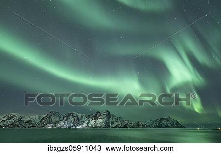 Northern Lights (Aurora borealis) in front of snow-covered mountains is reflected in the sea at the fjord, Myre, Nordland, Norway, Europe View Large Photo Image Stock Image - Northern Lights (Aurora borealis) in front of snow-covered mountains is reflected in the sea at the fjord, Myre, Nordland, Norway, Europe. Fotosearch