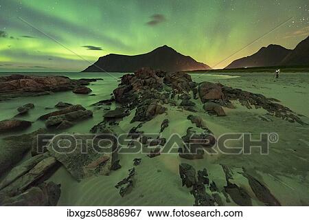 Northern lights over rocky beach, in the back tiny photographer with tripod, Leknes, Nordland, Lofoten, Norway, Europe View Large Photo Image Stock Photo - Northern lights over rocky beach, in the back tiny photographer with tripod, Leknes, Nordland, Lofoten, Norway, Europe. Fotosearch