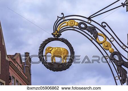 Nose sign Elephant Lounge, Münster, North Rhine-Westphalia, Germany, Europe View Large Photo Image Stock Image - Nose sign Elephant Lounge, Münster, North Rhine-Westphalia, Germany, Europe. Fotosearch