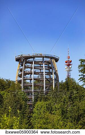 Picture - Observation tower at the tree top path Salzkammergut am Grünberg, Gmunden, Salzkammergut, Upper Austria, Austria, Europe. Fotosearch