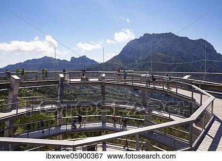 Observation tower at the tree top path Salzkammergut am Grünberg with Traunstein, Gmunden, Salzkammergut, Upper Austria, Austria, Europe View Large Photo Image Stock Photo - Observation tower at the tree top path Salzkammergut am Grünberg with Traunstein, Gmunden, Salzkammergut, Upper Austria, Austria, Europe. Fotosearch
