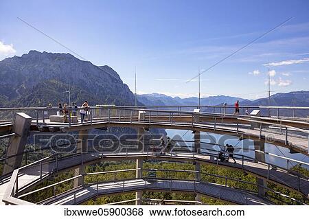 Observation tower at the tree top path Salzkammergut at Grünberg with Lake Traun and Traunstein, Gmunden, Salzkammergut, Upper Austria, Austria, Europe View Large Photo Image Stock Photo - Observation tower at the tree top path Salzkammergut at Grünberg with Lake Traun and Traunstein, Gmunden, Salzkammergut, Upper Austria, Austria, Europe. Fotosearch