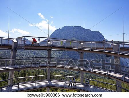 Observation tower at the tree top path Salzkammergut am Grünberg with Traunstein, Gmunden, Salzkammergut, Upper Austria, Austria, Europe View Large Photo Image Stock Photograph - Observation tower at the tree top path Salzkammergut am Grünberg with Traunstein, Gmunden, Salzkammergut, Upper Austria, Austria, Europe. Fotosearch
