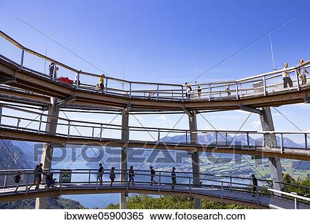 Stock Photography - Observation tower at the tree top path Salzkammergut at Grünberg with Lake Traun, Gmunden, Salzkammergut, Upper Austria, Austria, Europe. Fotosearch
