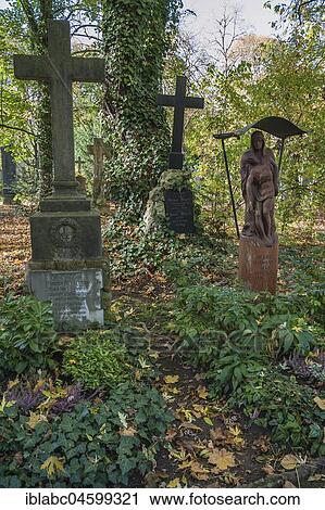 Old graves, densely overgrown with ivy, Südfriehof, Munich, Bavaria, Upper Bavaria, Germany, Europe View Large Photo Image Stock Image - Old graves, densely overgrown with ivy, Südfriehof, Munich, Bavaria, Upper Bavaria, Germany, Europe. Fotosearch