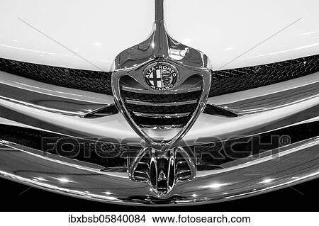 Oldtimer detail, Alfa Romeo Giulia SS, in black and white View Large Photo Image Picture - Oldtimer detail, Alfa Romeo Giulia SS, in black and white. Fotosearch
