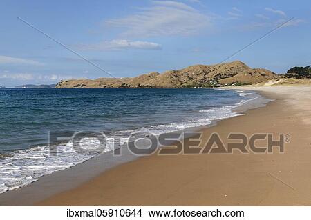 Picture - Otama Beach, Oceania, near Whitianga Village, Coromandel Peninsula, Waitako, North Island, New Zealand, Oceania. Fotosearch