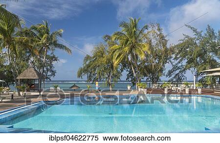 Stock Photography - Palm trees at the pool of the Cotton Bay Resort & Spa with views to the sea, Pointe Cotton, Rodrigues Island, Mauritius, Africa. Fotosearch