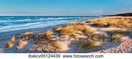 Panorama, Clear winter day at the Baltic Sea, dunes with beach grass, Darß peninsula, Fischland-Darß-Zingst, National Park Vorpommersche Boddenlandschaft, Mecklenburg-Vorpommern, Germany, Europe View Large Photo Image Stock Photo - Panorama, Clear winter day at the Baltic Sea, dunes with beach grass, Darß peninsula, Fischland-Darß-Zingst, National Park Vorpommersche Boddenlandschaft, Mecklenburg-Vorpommern, Germany, Europe. Fotosearch