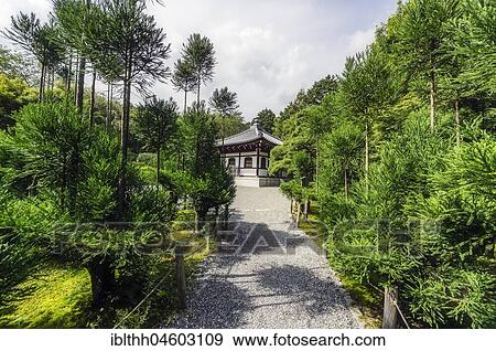 Park, Honshu Province, Kyoto City, Japan, Asia View Large Photo Image Stock Photo - Park, Honshu Province, Kyoto City, Japan, Asia. Fotosearch