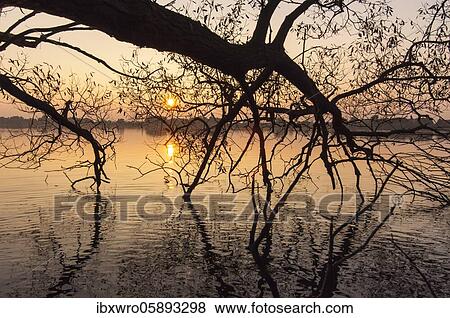 Pastures in front of sunset on the Dümmer, Lake Lembruch, Lower Saxony, Germany, Europe View Large Photo Image Stock Photo - Pastures in front of sunset on the Dümmer, Lake Lembruch, Lower Saxony, Germany, Europe. Fotosearch