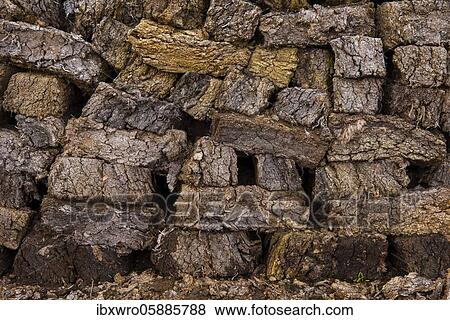 Peat sods stacked up in a bog, peat cutting, peat, Goldenstedter Moor, Oldenburger Münsterland, Lower Saxony, Germany, Europe View Large Photo Image Stock Photo - Peat sods stacked up in a bog, peat cutting, peat, Goldenstedter Moor, Oldenburger Münsterland, Lower Saxony, Germany, Europe. Fotosearch