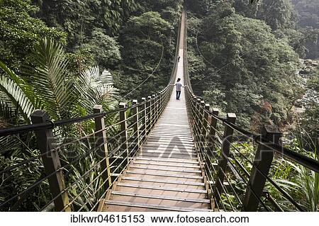 Stock Image - People on suspension bridge, Sky ladder, Zushan, Nantou, Taiwan, China, Asia. Fotosearch